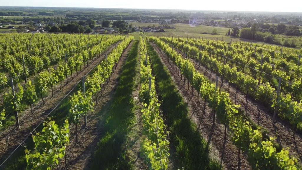 Domaine Pierre-Tourré